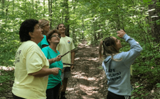 Group hiking looking at trees.