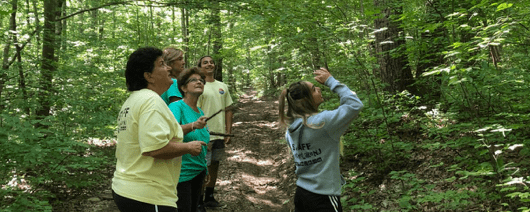 Group looking into the trees while hiking